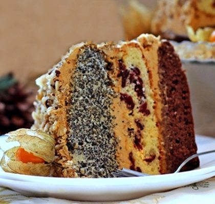 pndukov-tort